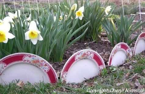 Use broken plates as garden edging. | 41 Ways To Reuse Your Broken Things Garden Improvement, Flower Bed Borders, Diy Garden Bed, Recycled Garden, Edging Ideas, Landscape Edging, Lawn And Landscape, Garden Edging, Garden Borders