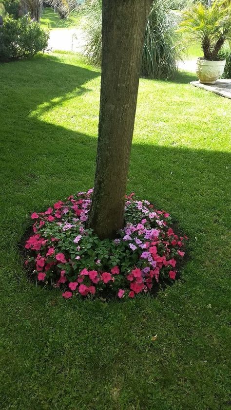 Garden Ideas - #gardening! Front Yard Flowers, Game Portal, Landscaping Around Trees, English Garden Design, Annual Garden, Html 5, Front Garden Landscape, Small Front Yard Landscaping, Front Garden Design