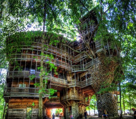 Large Tree House, Crossville Tennessee, Cool Tree Houses, Unusual Homes, Large Tree, Big Tree, Oh The Places Youll Go, Amazing Architecture, A Tree