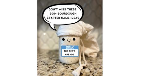 200  Best Sourdough Starter Names Ideas Sourdough Starter Names, Best Sourdough Starter, The Office Characters, Sourdough Bread Sandwiches, Sourdough Bread Recipe, Names Ideas, Sour Patch, Chicken Pizza, Sourdough Recipes