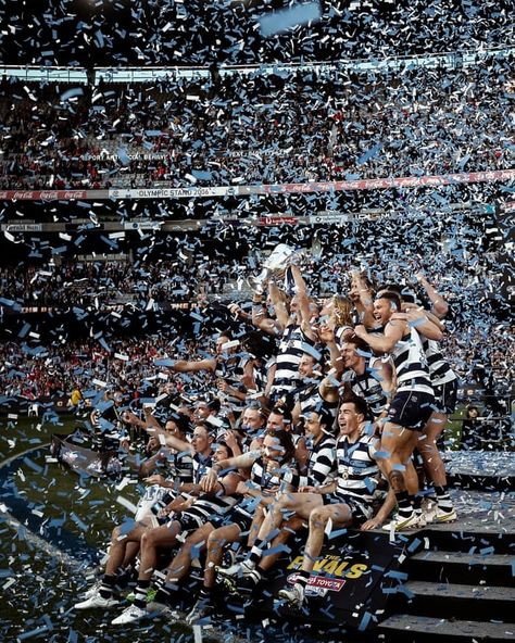 Camden Wallpaper, Eastenders Wallpaper, Geelong Cats Wallpaper, Geelong Cats Football, Geelong Football Club, Geelong Cats, Essendon Football Club, Cat Wallpaper, Girls Life