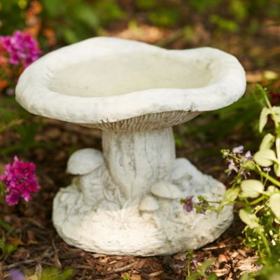 Concrete Mushroom Bird Bath Unique Birdhouses, Ceramic Bird Bath, Concrete Bird Bath, Birdhouses Bird Feeders, Unique Bird Houses, Garden Pottery, Ceramic Birds, Garden Essentials, Inspired Homes