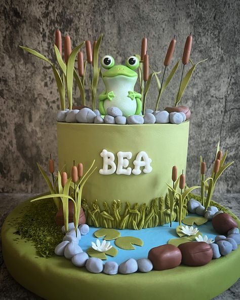 Pond Cake, Frog Cake, Frog Pond, Woodland Cake, Jungle Cake, Special Cake, 11th Birthday, Art Drawings For Kids, 8th Birthday