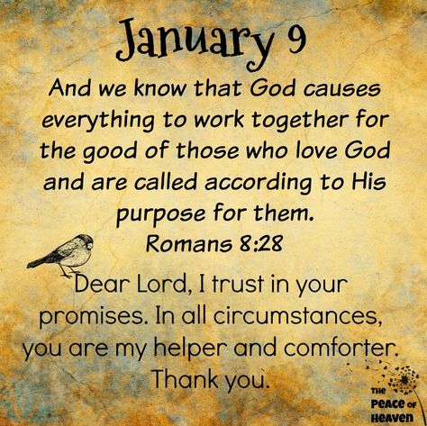 Roman 8 28, Daily Sayings, 1234 Cake, January Images, Psalms Quotes, January Quotes, Daily Spiritual Quotes, Praise Jesus, Proverbs 17