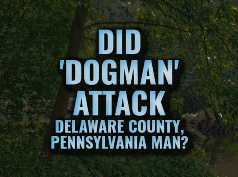 Dogman Encounters, Paranormal Investigation, Sister Quotes, Take Me Out, I Survived, Delaware, Aliens, Pennsylvania, Supernatural