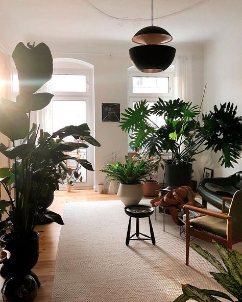 Plants In Window Ideas Living Room, Bathroom Greenery, Black Leather Couch Living Room, Seoul Apartment, Plant Vibes, Dark Brown Furniture, Brown Furniture Living Room, Leather Couches Living Room, Apartment Plants