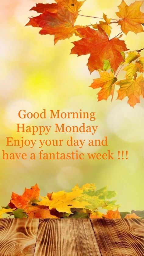 Monday Fall Quotes, Good Evening Sms, Monday Morning Greetings, Happy Monday Images, Monday Greetings, Happy Monday Morning, Good Morning Monday, Inspirational Good Morning Messages, Good Monday Morning