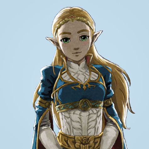 Legend of Zelda: Breath of the Wild (BOTW) icon ♡ Zelda Icon, Botw Zelda, Zelda Botw, Hyrule Warriors, Zelda Breath Of The Wild, Legend Of Zelda Breath, Zelda Breath, Twilight Princess, Breath Of The Wild