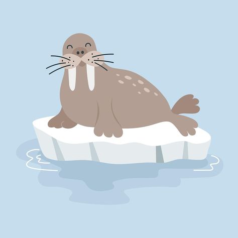 Vector illustration of cute cartoon walr... | Premium Vector #Freepik #vector #winter #snow #blue #ocean Cartoon Walrus, Walrus Illustration, Card Poster, Arctic Animals, Card Banner, Animal Cards, Poster Invitation, Ocean Animals, Cartoon Clip Art