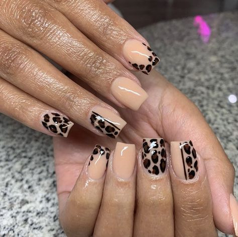 Leopard Print Nails Diy, Cheetah Print French Tip Nails, Fall Leopard Nails, Leopard Nail Art, Animal Print Nails Art, Leopard Print Nails, Leopard Nails, Animal Print Nails, Hair Skin Nails