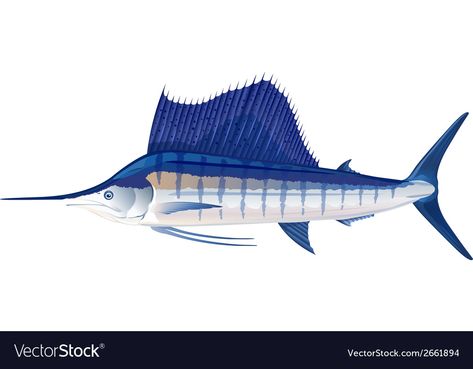 Sailfish Royalty Free Vector Image - VectorStock Sailfish Illustration, Fish Watercolor, Transparent Objects, Watercolor Fish, Sea World, Pictures Images, Transparent Png, Free Vector Images, Png Images