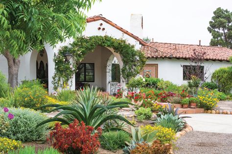 A Water-wise Garden Blooms with Color All Year Long - San Diego Home/Garden Lifestyles Mediterranean Landscaping Front Yard, Spanish Landscape, San Diego Home, Building Envelope, Drought Tolerant Garden, Waterwise Garden, Drought Tolerant Landscape, Thomas Paine, Mediterranean Landscaping