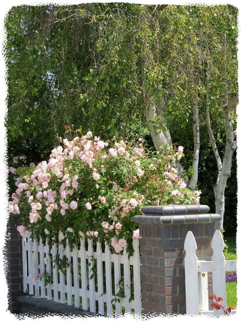 Picket Fence With Brick Pillars, Brick Picket Fence, Stone Pillar Fence, Brick Pillar Fence, Brick Pillars, Temporary Fence, Garden Gates And Fencing, Front Yards Curb Appeal, Brick Columns