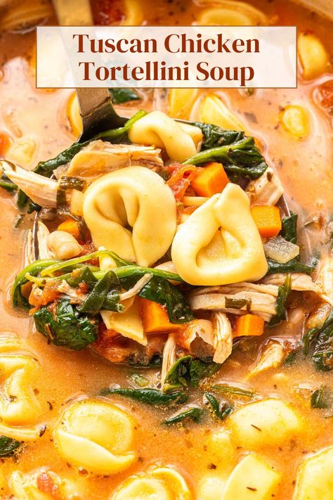 This Tuscan Chicken Tortellini Soup is an easy to make Italian flavored soup that’s perfect for fall and winter! It’s hearty, creamy, full of fresh veggies, shredded chicken, and cheese tortellini. It’s a main dish soup the whole family will enjoy. Creamy Italian Tortellini Soup, Chicken Tortilini Soup, Tuscan Chicken Tortellini Soup, Tuscan Chicken Tortellini, Turkey Tortellini Soup, Tuscan Tortellini Soup, Protein Soup, Chicken Tortellini Soup, Chicken And Cheese