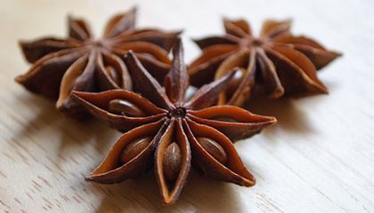 Mistress Of Spices, Anise Star, Vietnamese Pho, Anise Seed, Art Lamps, Seed Heads, Garden Herbs, Herbal Tinctures, Star Anise