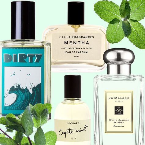 6 Mint Fragrances That Don't Smell Like Toothpaste Mint Scent Aesthetic, Mint Perfume For Women, How To Smell Like Mint, Mint Perfume, Smell Fresh All Day, Perfume Suggestions, Mint Fragrance, Natural Face Cleanser, Fresh Perfume