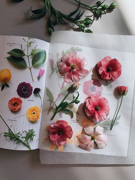 Ranunculus Butterfly, Pressed Butterfly, Butterfly Ranunculus, Pressing Flowers, Ranunculus, Pressed Flowers, Flowers