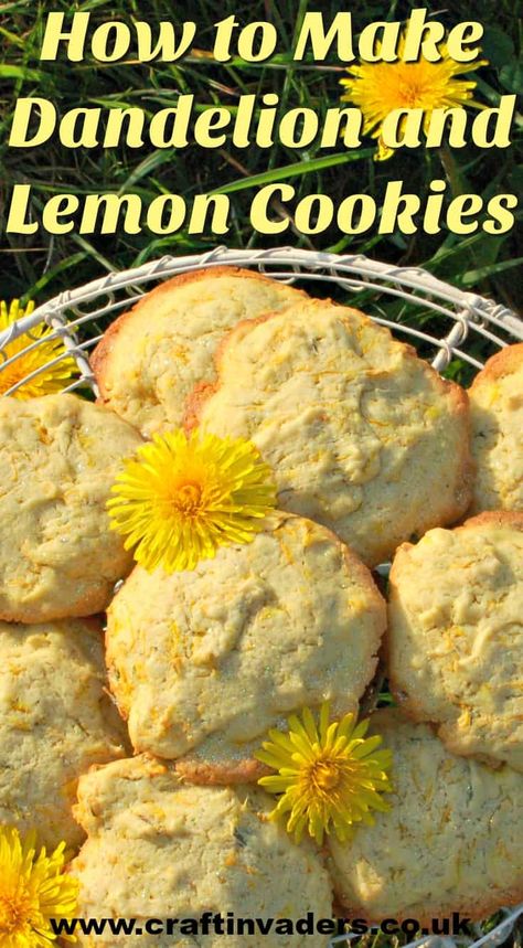 Cottagecore Recipes, Lemon Biscuits, Edible Flowers Recipes, Wild Food Foraging, Foraging Recipes, Foraged Food, Herbal Recipes, Biscuits Recipe, Dandelion Recipes