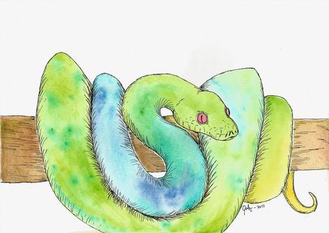 Green Tree Python Portrait Snake On Tree Drawing, Writing Themes, Python Drawing, Green Tree Python, Tree Python, Snake Drawing, Books Illustration, Tree Sketches, Picture Books Illustration