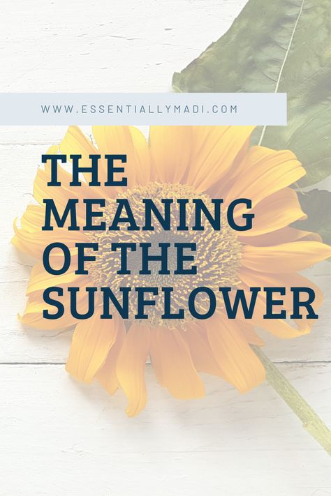 Sunflower Meaning In Love, Sunflower Poem Quotes, Sunflower Devotional, Sunflower Meaning Spiritual, Sunflowers Meaning, Sunflower Quotes Inspirational, Sunflower Story, Sunflower Sayings, Sunflower Meaning