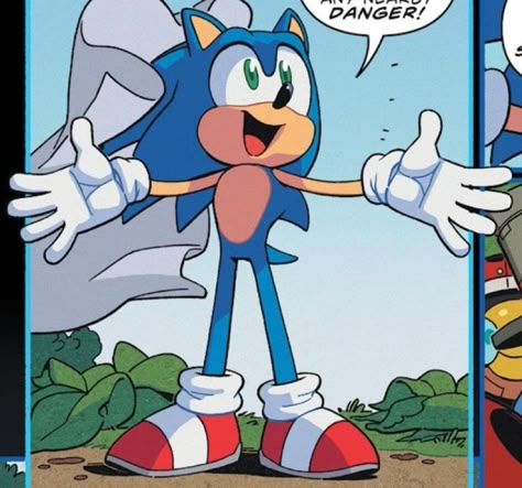 Sonic Idw, Sonic Comic, How To Draw Sonic, Funny Hedgehog, Sonic & Knuckles, Sonic Heroes, Lil Boy, Sonic 3, Sonic Franchise