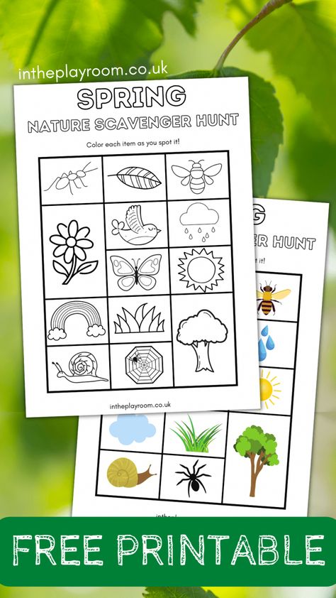 Spring Scavenger Hunt Printable, Nature Bingo Printable Free, Toddler Nature Scavenger Hunt, Spring Nature Scavenger Hunt, Kindergarten Nature Scavenger Hunt, Nature Walk Scavenger Hunt, Nature Scavenger Hunt Printable, Nature Hunt, Photo Scavenger Hunt