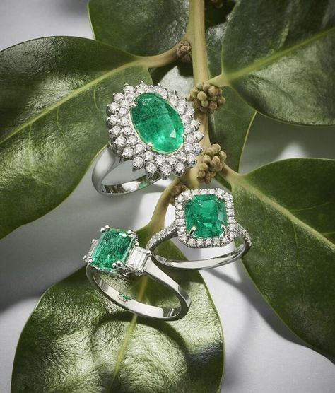 Anello di fidanzamento: quello di tendenza ha lo smeraldo evergreen Gemstone Rings, Gemstones, Design