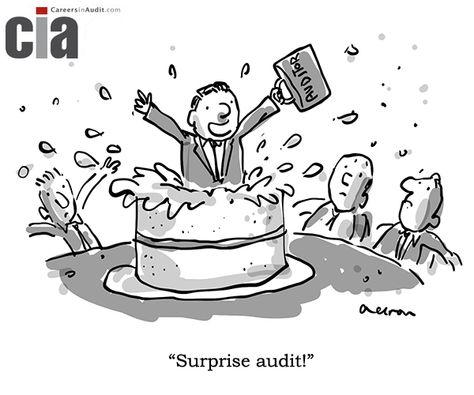 Surprise Audit - May 2019 Accounting Humor, Internal Audit, Job Career, Job Board, Work Memes, Career Advice, Accounting, Career, Funny Pictures