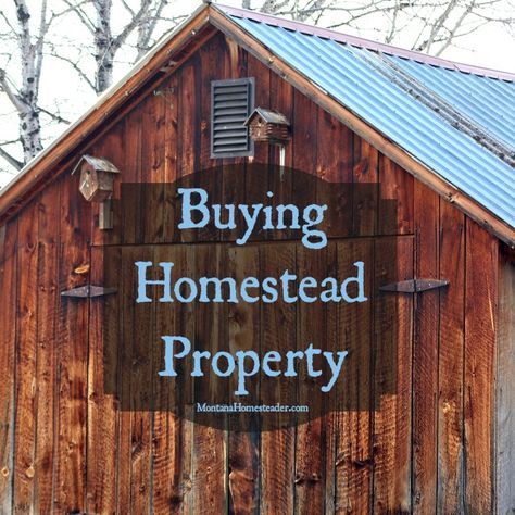 tips for buying homestead property montana homesteader Life Cycle Of A Bee, How Bees Make Honey, Montana Homestead, Homestead Act, Homestead Property, Honey Combs, Owner Builder, Family Compound, Homestead Ideas