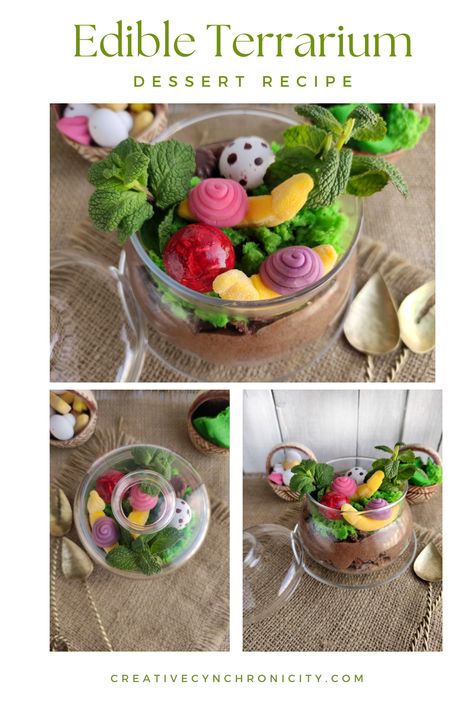 Edible Terrarium Dessert Recipe - Creative Cynchronicity Terrarium Dessert, Edible Terrarium, Traditional Trifle, Halloween Candy Bark, Yogurt Covered Raisins, Candy Bark, Quick Easy Desserts, Chocolate Mug Cakes, Sweet Recipes Desserts