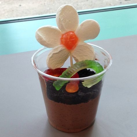 Dirt cups with marshmallow and dum dum flowers! Daisy Snacks, Dirt Cups, Daisy Troop, Brownie Girl Scout, Daisy Garden, Girl Scout Daisy, Daisy Scouts, Crushed Oreos, Daisy Girl Scouts