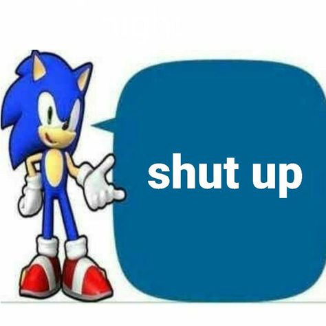 Sonic Says, Swag Pics, Image Swag, Sonic Funny, Sonic 3, Blue Hedgehog, Adventure Aesthetic, Sonic And Shadow, Sonic Art