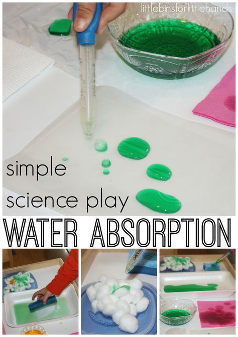 //  Water Absorption Science Experiment What absorbs water? What does not?   I love to do simple water science experiments with my little guy! Often our water experiments include color mixing or sinking/floating items. A long time ago, we played around with putting cotton balls in water and ... Water Experiments For Kids, Weather Activities Preschool, Water Science Experiments, Water Study, Water Unit, Preschool Weather, Water Experiments, Weather Theme, Weather Unit