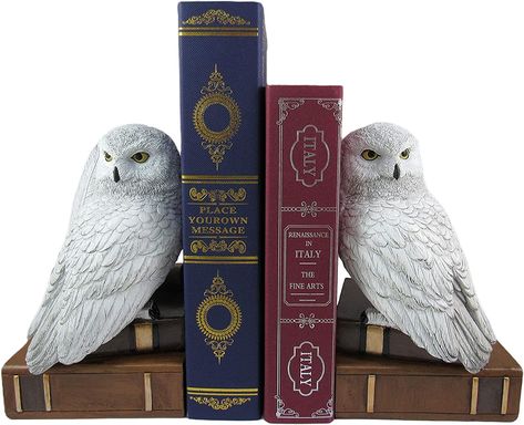 Amazon.com: World of Wonders Wisdom and Wizardry Decorative Owl Bookends | Magic School Decorations for The Home | Bookshelf Décor | Decorative Bookends for Books - 9.5" : Home & Kitchen Home Bookshelf, Unique Bookends, Owl Bookends, Home Bookshelves, Harry Potter Nursery, Harry Potter Room Decor, Harry Potter Classroom, Harry Potter Bedroom, Decorative Bookends