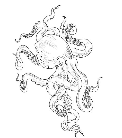 Octopus Tattoo Outline, Octopus Hip Tattoo, Octopus Tattoo Design Drawing, Kraken Drawing, Octopus Thigh Tattoos, Voodoo Doll Tattoo, Octopus Tattoo Sleeve, Beachy Tattoos, Science Tattoos