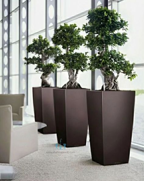 The Modern Black Tapering Cube FRP Planter With Its Handcrafted Smooth Finished Body And Clean Lines Adds A Unique And Minimalistic Touch To Any Spaces. Showcase Your Favorite Plants In Style And Bring A Touch Of Natural Charm To Your Interior. Using Fiberglass Planters In Your Plantscaping Designs Is A Great Way To Enhance The Beauty Of Any Indoor Or Outdoor Landscape. Their Durable, Commercial Grade Construction And Vast Color Choices Make Fiberglass Plant Containers An Interiorscape And Ex... Artificial Plant Arrangements, Plants Tropical, Artificial Plants Indoor, Planting Pots, Mediterranean Plants, Big Plants, Interior Plants, Modern Planters, Office Plants