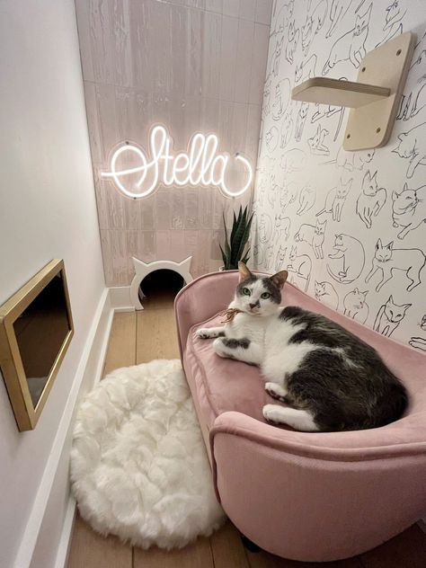 Room With Cats Aesthetic, Cat Bedroom Pets, Hidden Cat Room, Cat Spots In House, Tiny Cat Room Ideas, Cat Aesthetic Apartment, Cute Diy Cat Stuff, Small Cat Closet Ideas, Cute Cat Room Decor