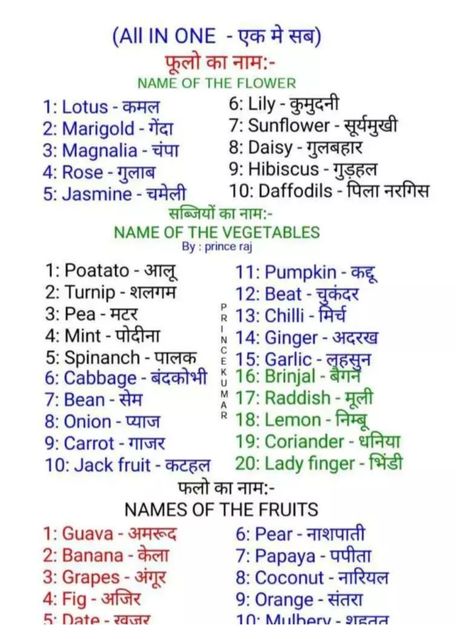 Hindi Dictation Words For Class 3, Word Meaning For Class 1, Hindi Poems For Kids, Hindi Learning, English Worksheets For Kindergarten, English Word Book, Hindi Language Learning, English Learning Books, Teaching Sight Words