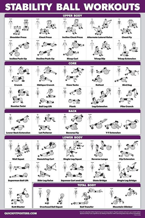 Quickfit Exercise Ball Workout Poster Ball Workout Exercise, Yoga Ball Workout, Exercise Ball Workout, Exercise Poster, Yoga Ball Exercises, Stability Ball Exercises, Ball Workout, Gym Ball, Balance Ball