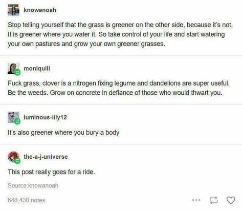 Tumblr Motivation, Funny Tumblr Posts, What’s Going On, Life Advice, Tumblr Posts, Tumblr Funny, Funny Posts, Writing Tips, I Laughed