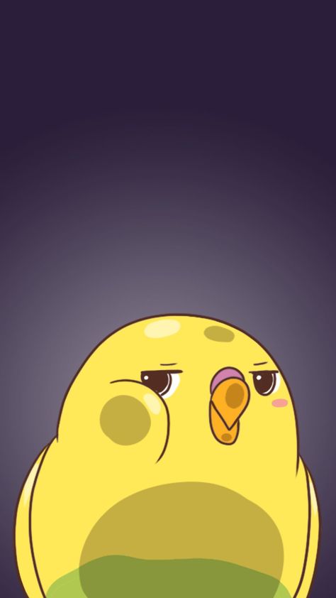 A budgie’s life webtoon iPhone wallpaper Kuş Wallpaper, Budgie Wallpaper, Parrot Wallpaper, Budgies Bird, Cute Images For Wallpaper, Parrots Art, Bird Sketch, Dream Pop, Bird Wallpaper