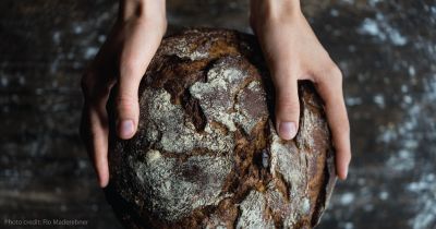 What You Must Know About Gluten Dairy Foods, Fiber Bread, Artisan Bread Recipes, Simple Nutrition, Sourdough Baking, Fiber Rich Foods, Rye Bread, Wheat Bread, No Dairy Recipes