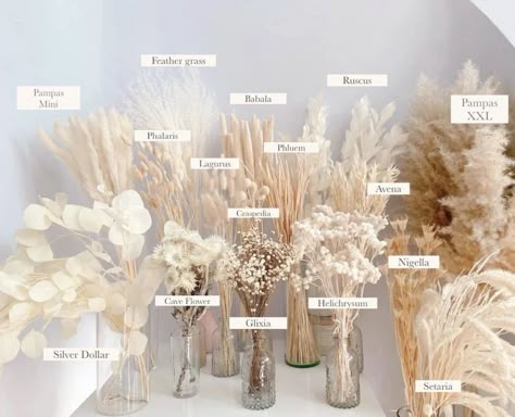 Grass Decoration, Deco Champetre, Grass Wedding, Dry Flower, Cream Tones, Future Wedding Plans, Deco Floral, White Bouquet, Dried Flower Bouquet