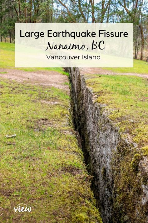 The Abyss and Hidden Labyrinth in Nanaimo Travel Vancouver Island, Nanaimo Bc, Canadian Travel, Island Destinations, Mountain Bike Trails, Beautiful Forest, Local Travel, Seaside Towns, Vancouver Island