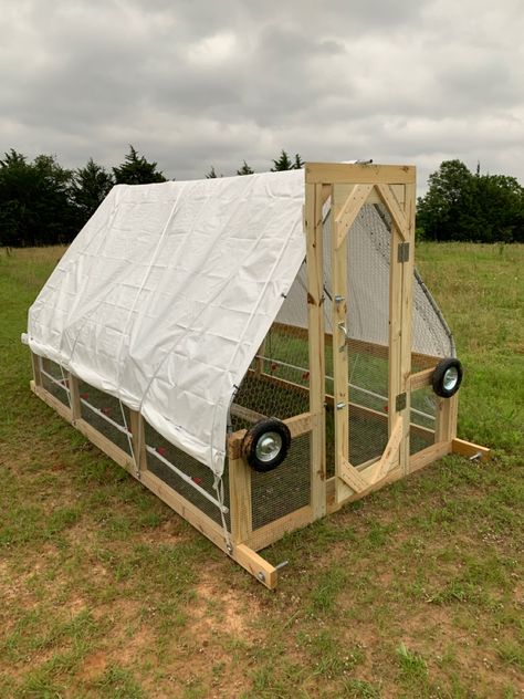 Moved the chicken tractor out on the pasture and moved the chickens in. Mobile Chicken Coop Diy Tractors, Chicken Coop Moveable, Diy Chicken Tractor, Pastured Poultry, Mobile Chicken Coop, Poultry Farming, Meat Birds, Urban Homestead, Portable Chicken Coop