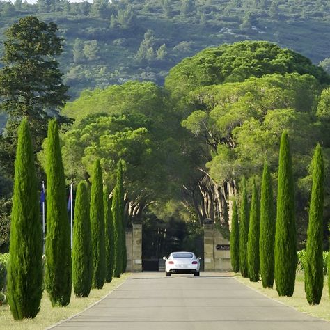 POV: A grand chateau from 1731, updated with everything modern you need. With 10 big bedrooms, your own olive orchards, and a vineyard, it's a slice of heaven in the South of France. Lin in Bio to reserve this villa South Of France House, South Of France Villa, Vineyard House, Villa France, Villas In Italy, Big Bedrooms, Under The Tuscan Sun, Slice Of Heaven, Countryside House