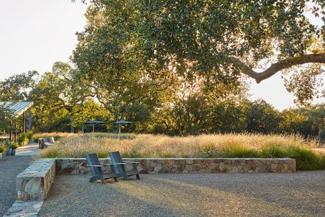 Wine Country Modern — Lucas & Lucas Backyard Vineyard, Mediterranean Gardens, Verbena Bonariensis, Small Cabins, Gravel Patio, Lake Homes, Country Modern, Modern Mountain, Oak Trees