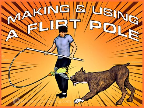 How to Make & Use a Flirt Pole (a Must for Energetic Dogs!) How To Make A Flirt Pole, Flirt Pole For Dogs Diy, Flirt Pole For Dogs, Diy No Pull Dog Harness, How To Stop Dog Pulling On Leash, Diy Weave Poles Dog Agility, How To Get Your Dog To Stop Jumping, Camping Rope, Marine Rope