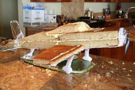 This was the cake I was asking questions about last week. Thanks for all the input. I ended up covering the board with tinfoil and then covering the foil ... Aeroplane Cake, Airplane Cakes, Airplane Birthday Cakes, 3d Airplane, Military Cake, Airplane Cake, Cake Structure, Gravity Defying Cake, Gravity Cake