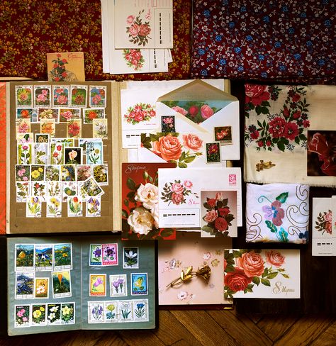 Vintage Cats, Vintage Life, Vintage Cat, Vintage Flowers, Vintage Floral, Mood Board, We Heart It, Gallery Wall, Stamp